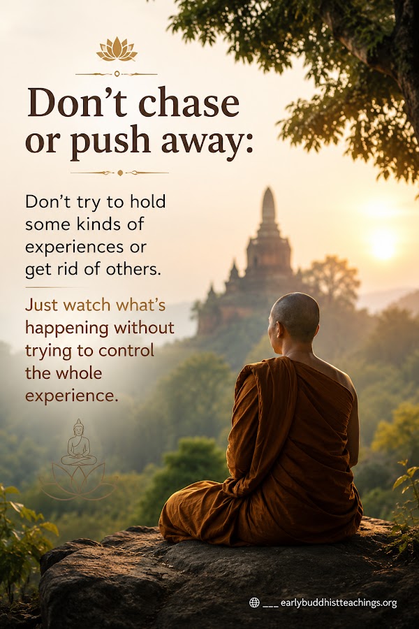 Dhamma Reflections