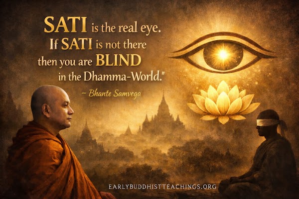 Dhamma Reflections