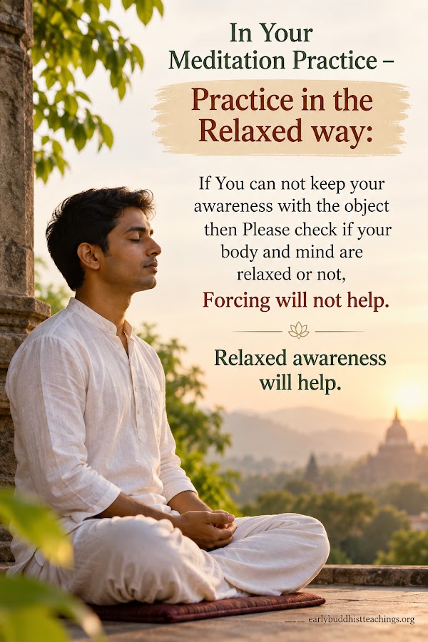 Dhamma Reflections